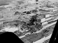 40 anos após o desastre nuclear de Chernobyl: os animais ainda hoje são afetados pela radiação