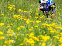Ciclismo: Tour de Romandie: Lipowitz fica com Pogacker na largada