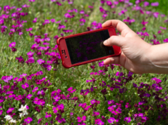 Com o Urban Nature Challenge, todos estão trabalhando em um inventário da biodiversidade urbana