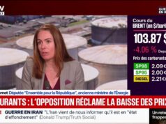 Combustível: “Apoio um governo que não se preocupa com impostos”, explica Olga Givernet, ex-ministra da Energia.
