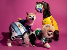 Copa do Mundo 2026: Adidas lança coleção de calças alternativas… para cães