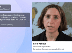 Dado que os países africanos têm baixos níveis de poluição, porque é que ainda participam nas COP sobre o clima? WeAnswer Clima