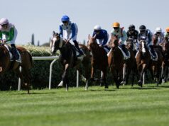 Doping de cavalos, corridas fraudulentas e milhões de euros em jogo: Dezenas de pessoas serão julgadas no explosivo caso Chantilly