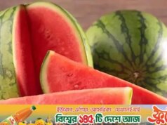 É perigoso comer melancia à noite?