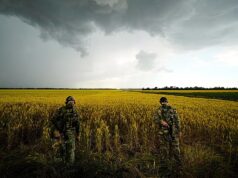 Grãos roubados pela Rússia: a tensão aumenta entre a Ucrânia e Israel