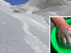 Guia de alta montanha desaparecido em um dos picos do Himalaia: desaparecido há dois dias, encontrado com as mãos congeladas