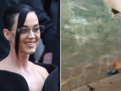 Katy Perry joga um cartão de crédito na Fonte de Trevi em vez de uma moeda