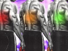 Melhores exercícios para dores nas costas