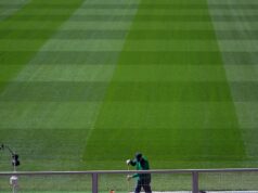 No gramado da Copa do Mundo de 2026: “Não é grama, é muito mais complexo”