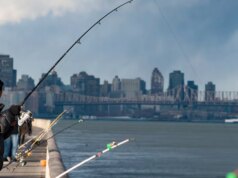 Peixes, homens… e ratos: o que o monitoramento de DNA revela em rios urbanos