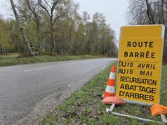 Perdas financeiras, danos ecológicos… No Alto Reno, o trabalho de segurança do Tour de France está indo bem.