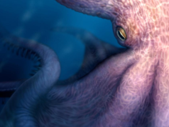 Polvos gigantes, do tamanho de edifícios, vagavam pelos mares na época dos dinossauros