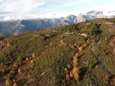 Quarenta anos após o desastre nuclear de Chernobyl, o que sabemos sobre o seu impacto no ambiente e na saúde em França?