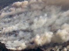 Recordes de calor, megaincêndios… O Instituto Copernicus fez uma estimativa alarmante para 2025 na Europa