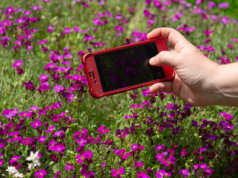 Toulouse: três dias para caminhar pela natureza na cidade graças ao City Nature Challenge