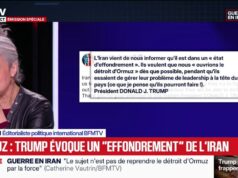 Tweet de Donald Trump sobre o Irã: “Politicamente, não, o país não está em colapso”, lembra Elsa Vidal, comentarista política internacional