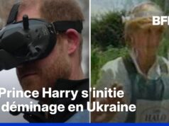 Ucrânia: Príncipe Harry fica sabendo da desminagem de Buchi, 30 anos depois de Diana em Angola