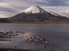 “Um triunfo da conservação”: a natureza é mais resiliente em locais reconhecidos pela UNESCO