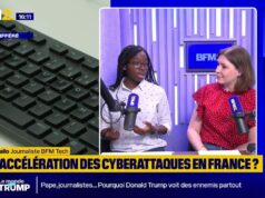 Vazamentos de dados: a França é particularmente vulnerável?