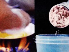 Veja como obter proteína suficiente em um dia