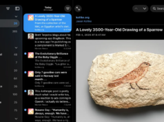 hehe+ | NetNewsWire 7 em teste: agregador de notícias RSS
