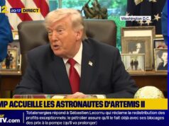 ‘Eu sugeri uma pequena trégua’: Donald Trump diz que teve uma troca ‘muito boa’ com Vladimir Putin