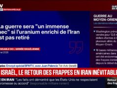 A guerra será um “grande fracasso” se o urânio enriquecido não for removido do Irã, diz o porta-voz do exército israelense
