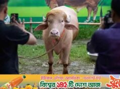 Actualmente, o “Donald Trump” do Bangladesh domina os meios de comunicação internacionais.