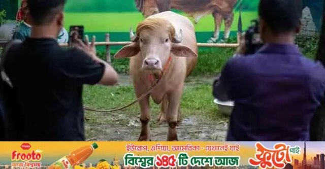 Actualmente-o-Donald-Trump-do-Bangladesh-domina-os-meios-de.jpeg