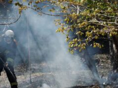 As florestas no Japão arderam durante 11 dias e foram controladas após a destruição de 1.633 hectares.