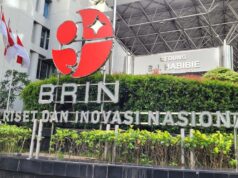 BRIN 5 anos: aproximando a pesquisa das necessidades da comunidade