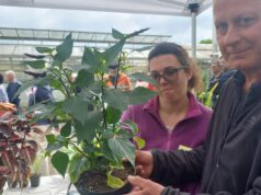 Com um aparelho de musicoterapia, este trabalhador municipal faz as plantas cantarem