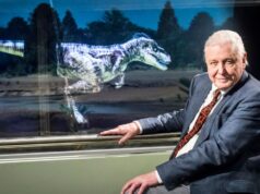 Como as imagens exuberantes de Attenborough escondem a história do trauma colonial