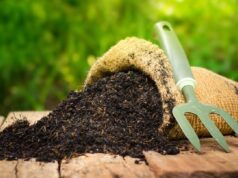 Considerada mais ecológica, a compostagem de restos humanos é agora uma tendência