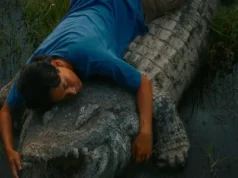 Crocodile Tears viaja de Toronto para transmitir na Indonésia