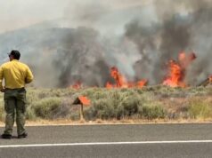 Da Floresta de Fontainebleau ao oeste americano, câmeras inteligentes monitoram os menores sinais de fumaça e evitam incêndios frequentes.