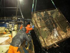 Deadliest Catch segue para águas canadenses enquanto o reality show dos EUA ganha a primeira adaptação internacional