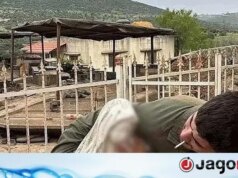 Depois de Jesus Cristo no Líbano, o exército israelense insultou a estátua da Mãe Maria