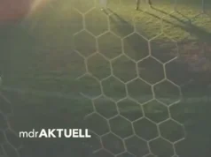 Ele estava lá, não estava? – Enorme alvoroço por roubo de gols na 4ª liga