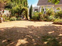 Especialista em jardinagem: Veja como você pode preparar seu jardim para o calor e a seca do verão