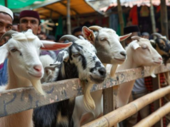 Estas são três coisas que podem tornar a carne do Alcorão haram para consumo, os muçulmanos devem saber!