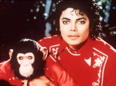 Fatos sobre o chimpanzé de Michael Jackson – Bubble Retirement Life (43)