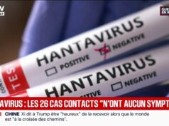 Hantavírus: contactos franceses não apresentam sintomas