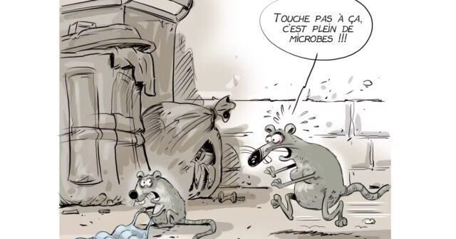 Hantavirus-em-Sao-Paulo-mapeamos-os-riscos-de-epidemias-causadas.jpg