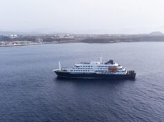 Hantavírus em navio de cruzeiro: atracação nos canários, transmissão entre humanos… Três questões sobre a investigação atual