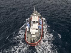 Hantavírus em navios de cruzeiro: por que as autoridades de saúde continuam confiantes no risco de uma epidemia