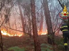 Na Toscana, incêndio florestal em Monte Fetta: 800 hectares queimados, 3.000 pessoas evacuadas