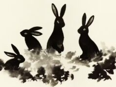 Na guerra da Austrália contra os coelhos, os coelhos vencem
