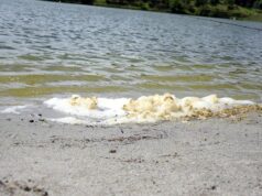 Nadar no Lago Thesak é perigoso? Embora os testes indiquem que a água não é tóxica, os moradores estão preocupados.