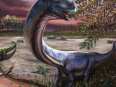 “Nagatitan”, um dinossauro que pesa até nove elefantes descoberto na Tailândia